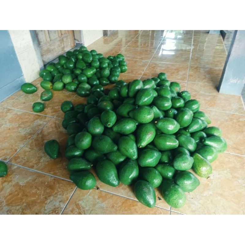 

Alpukat mentega isi 4