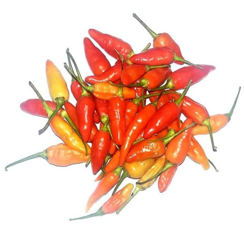 Cabai rawit merah 1kg