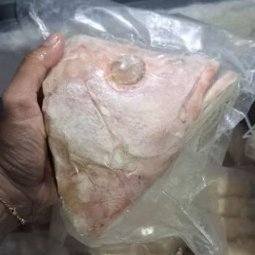 

KEPALA KAKAP