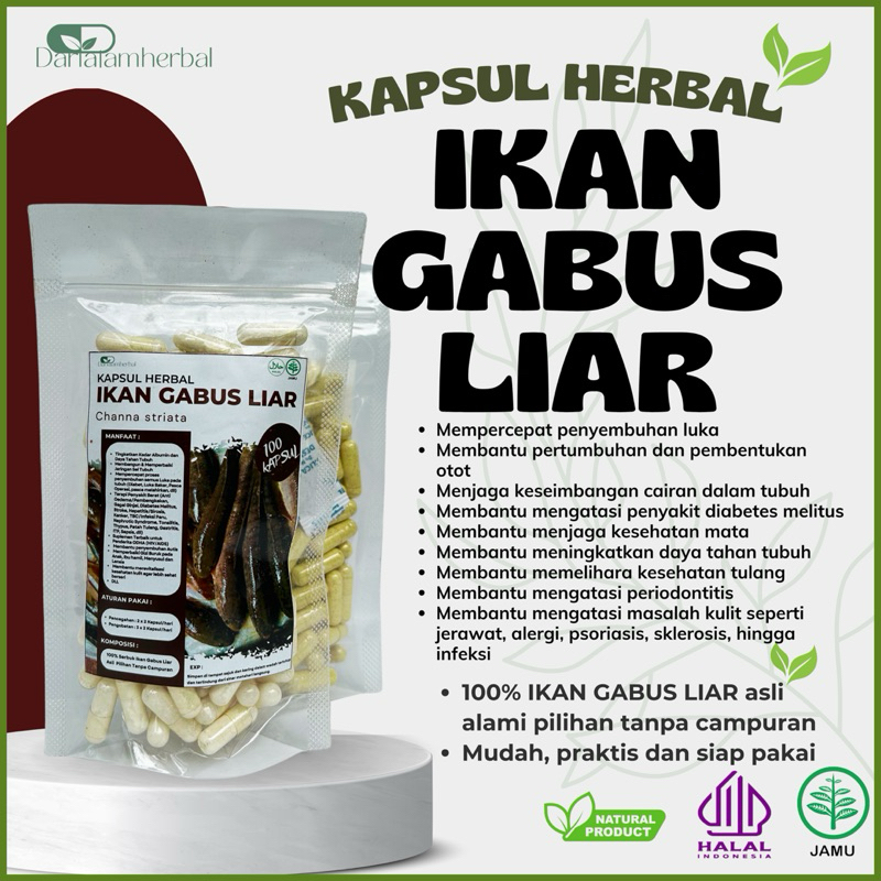 Kapsul Herbal IKAN GABUS LIAR isi 100 kapsul | Kapsul Sejuta manfaat asli 100% Ikan Gabus Liar Alami