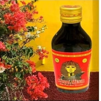 

minuman herbal sekali minum kadal mesir
