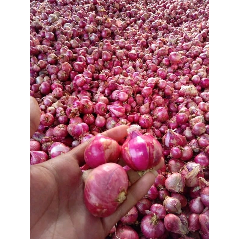 

Bawang merah fresh kering 1kg