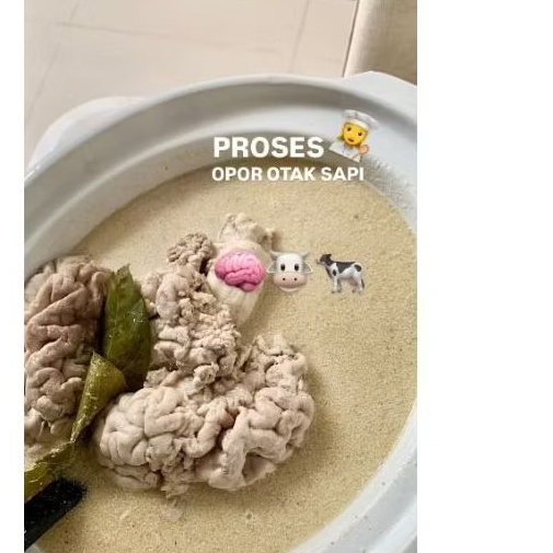 

precious mpasi otak sapi