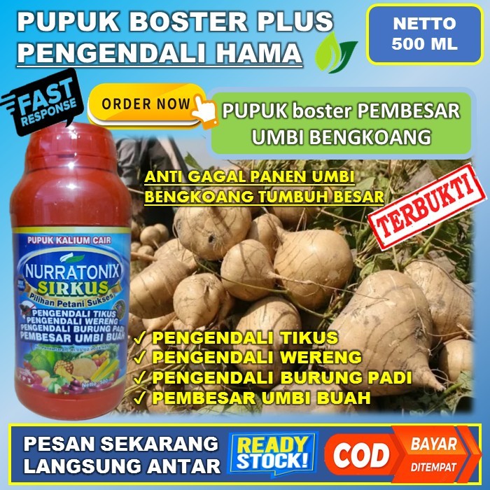 Pupuk Paling Ampuh Tanaman Bengkoang - NURRATONIX SIRKUS 500ML - PUPUK pembesar tanaman bengkoang - 