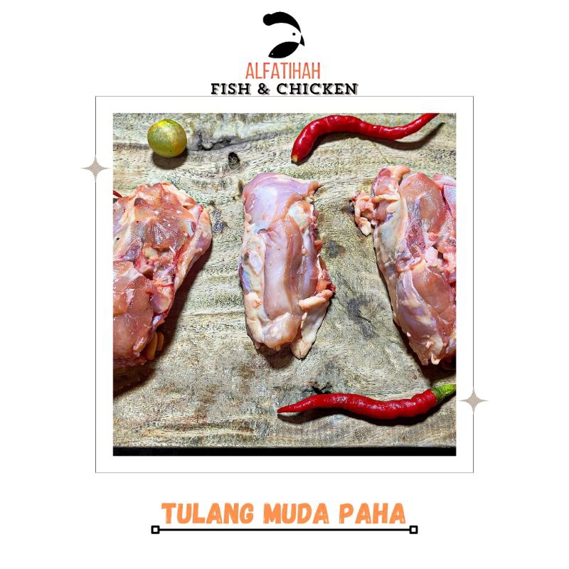 

Tulang Lunak Paha Atas