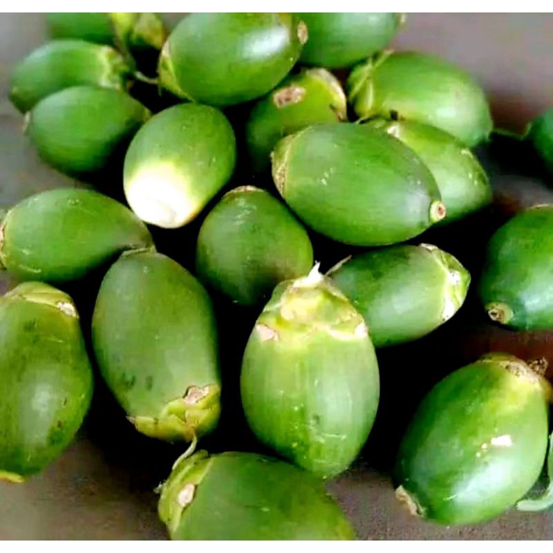 

buah pinang muda segar 500 gr buah jambe muda 1kg