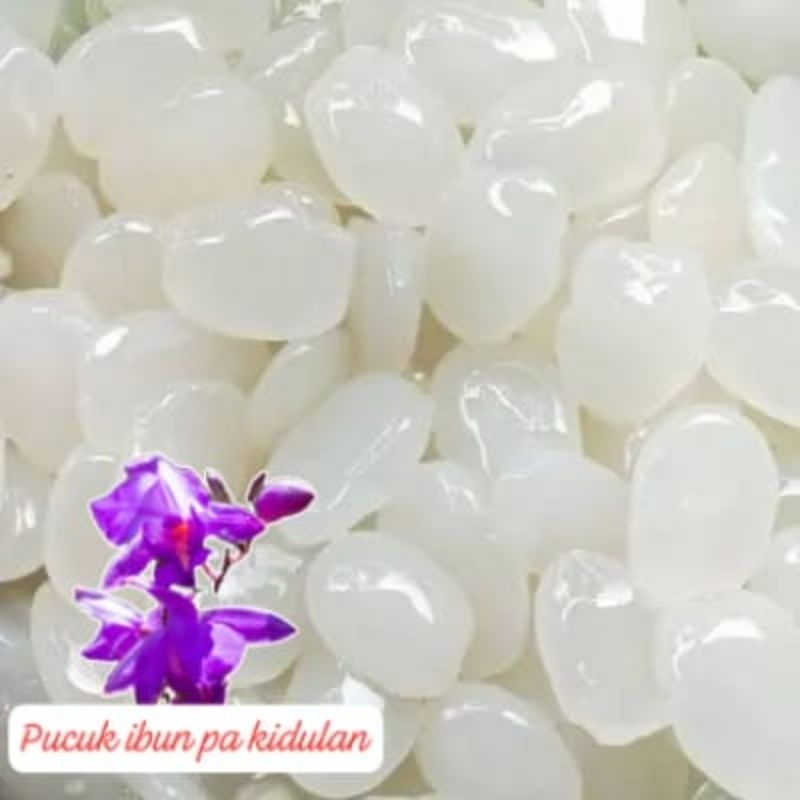 

kulang kaling buah aren/500 gram