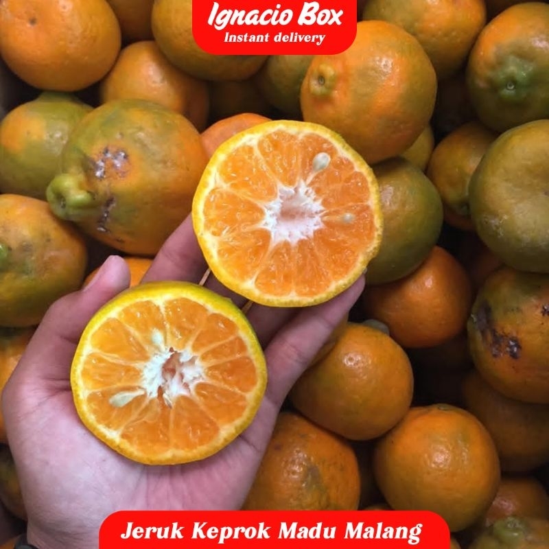 

JERUK KEPROK MADU MALANG MANIS 1KG | JERUK MALANG FRESH MANIS 1KG
