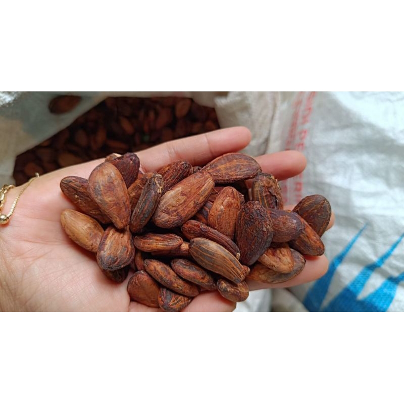 

Fermented Cocoa Bean 1 kg