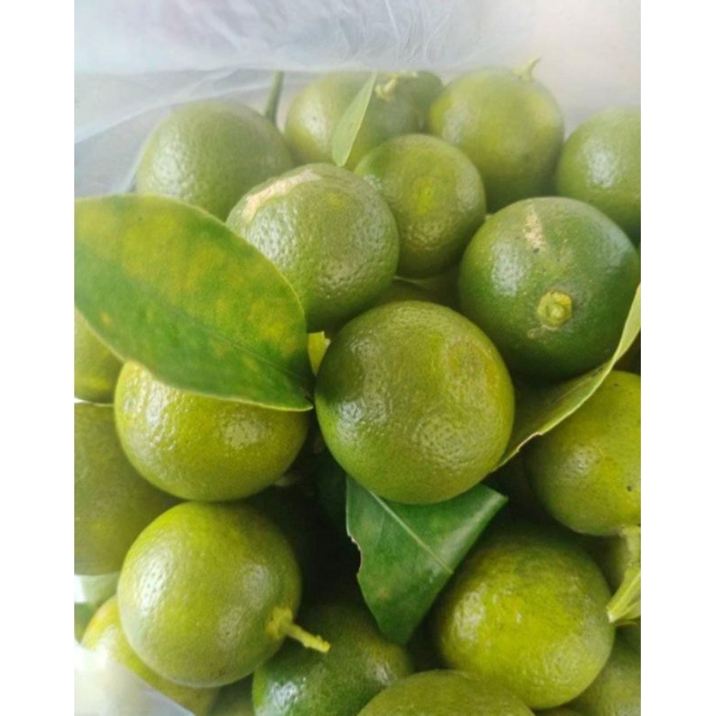 

Jeruk Kunci Belitung