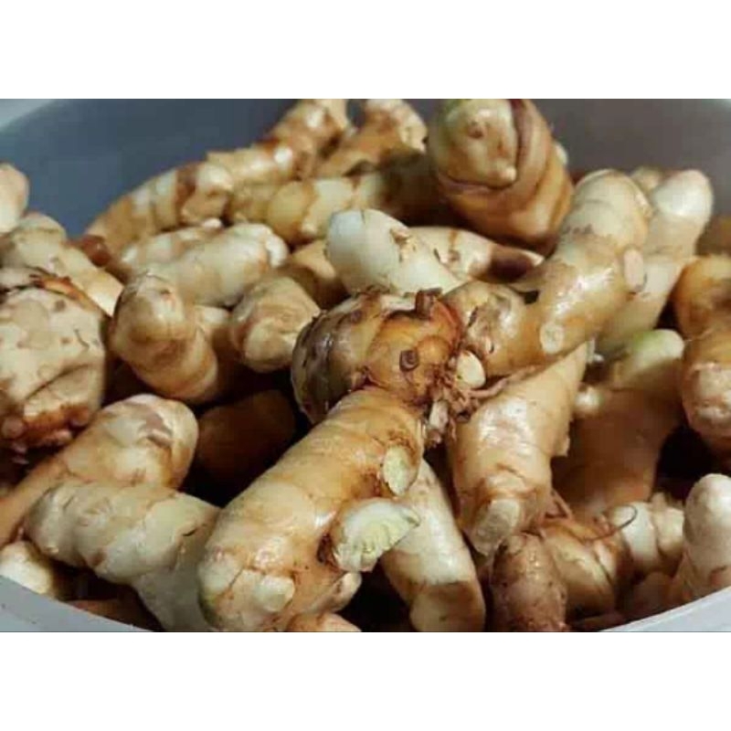 

kunyit putih/Temu putih curcuma 1 kg