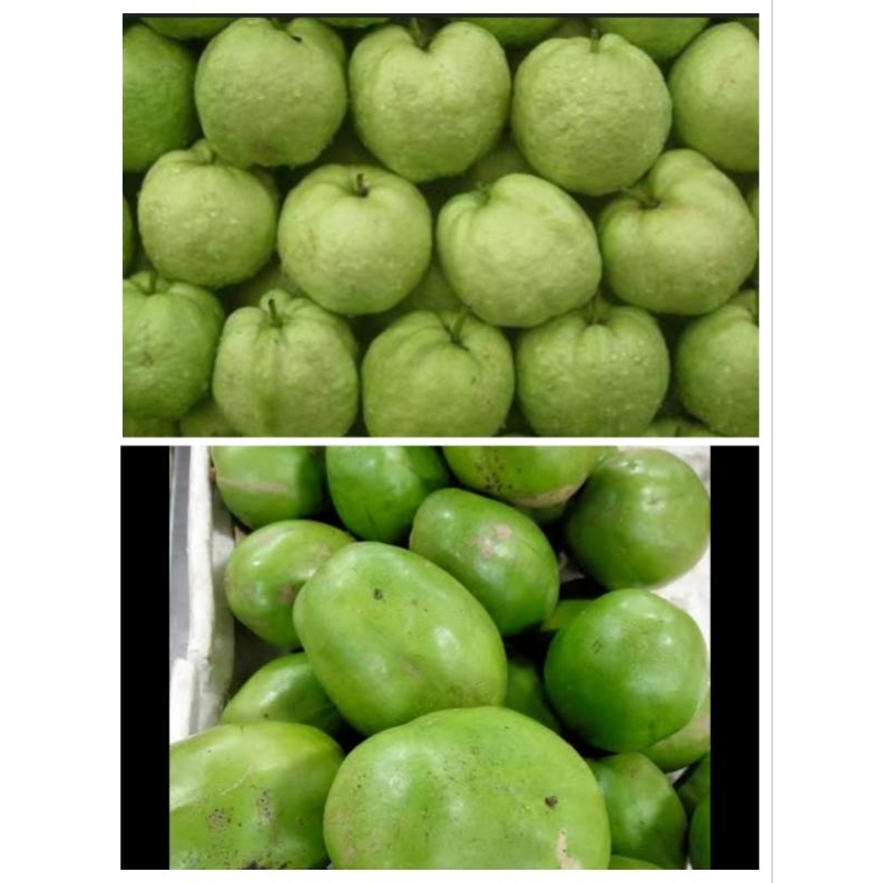 

jambu kristal mix kedongdong isi 1kg