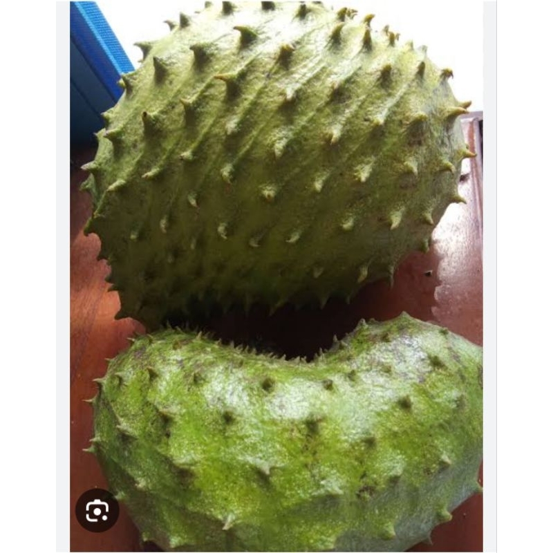 

buah sirsak 1 kg