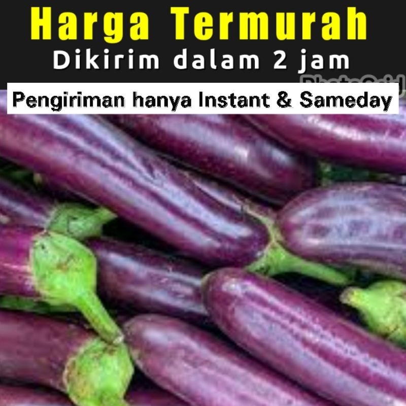 

TERONG Ungu 500 gram