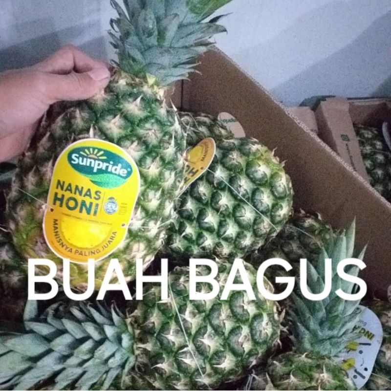 

Nanas Honey Besar Satuan