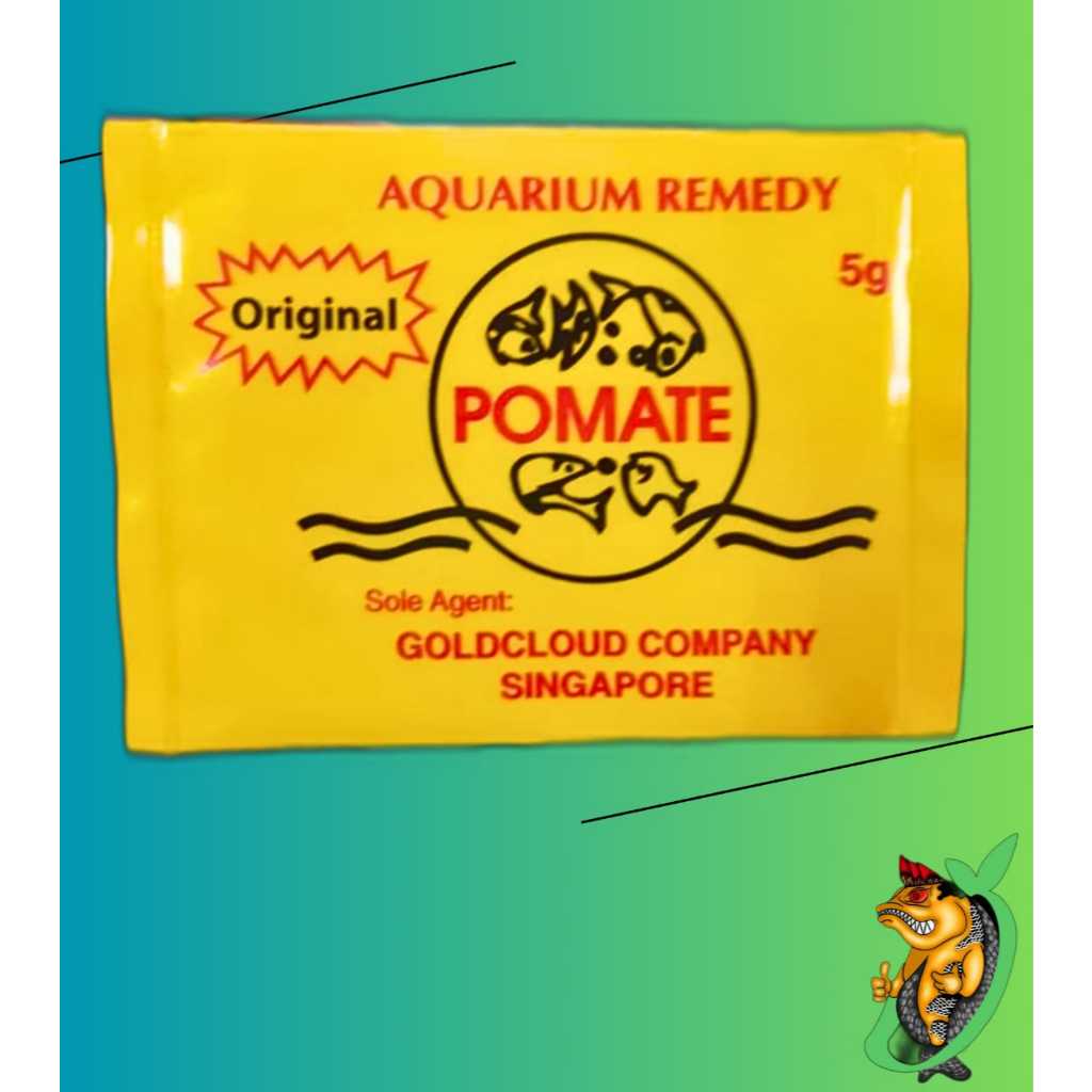 Pomate -Obat Ikan pomate Singapura Original 5g