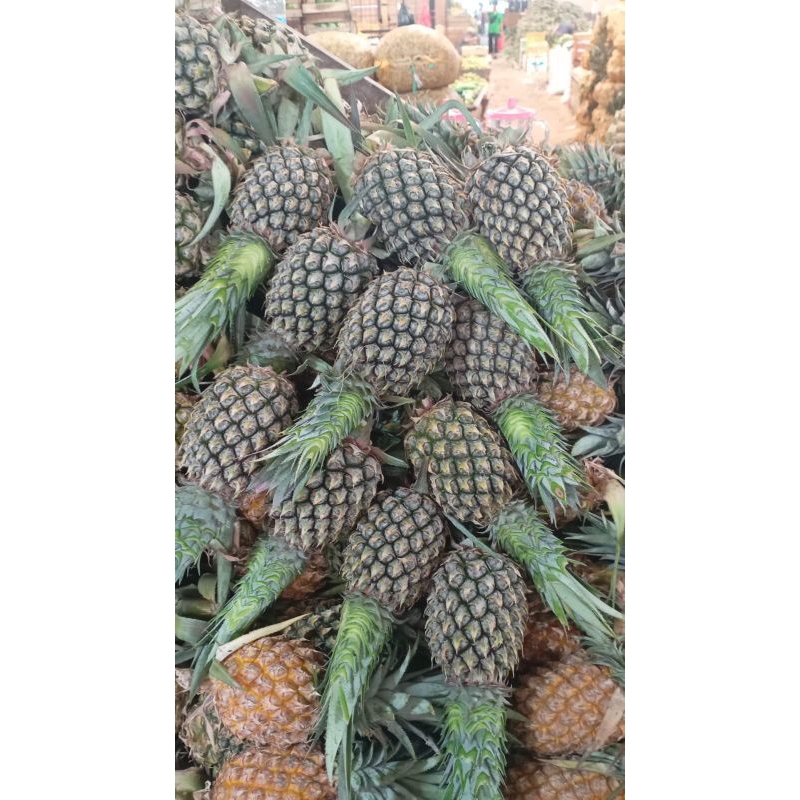 

Nanas Lokal Fresh