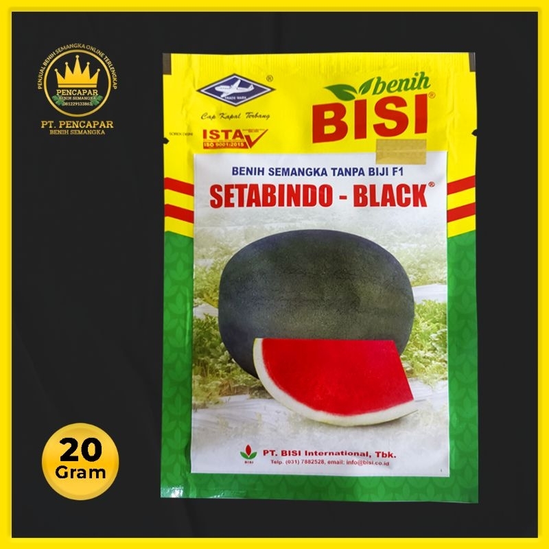 BENIH SEMANGKA - SETABINDO BLACK - BISI- 20 GRAM ISI 310 BUTIR.