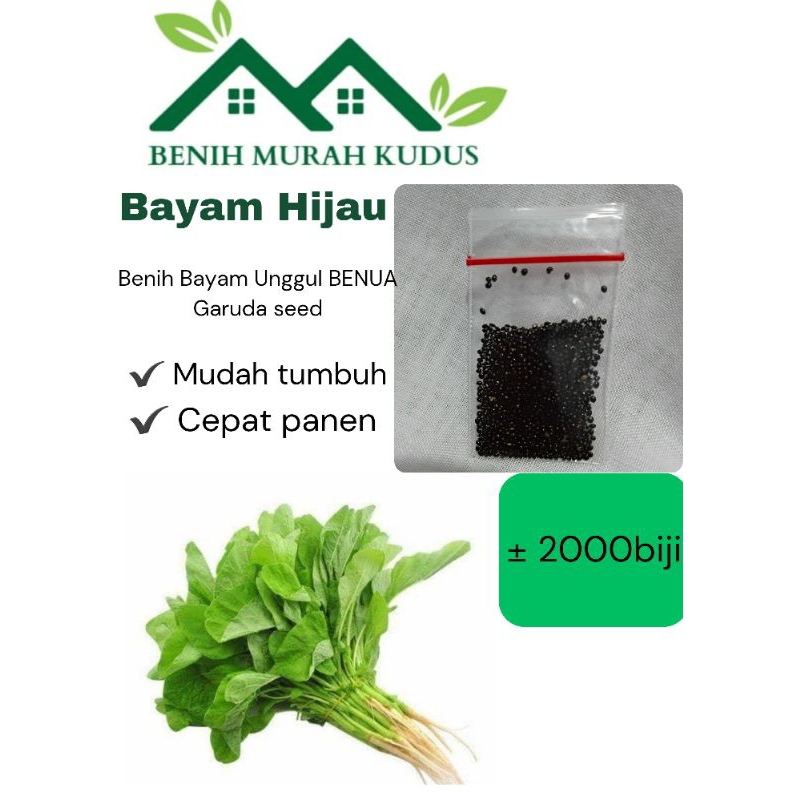 Benih Sayuran Unggul Benih Bibit Sayuran  Benih Bayam Unggul Benua ± 2000