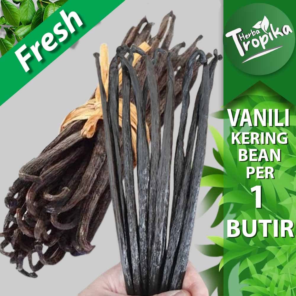

Buah Vanili vanilla bean Kering per biji rempah dan herbal alami toko herba tropika