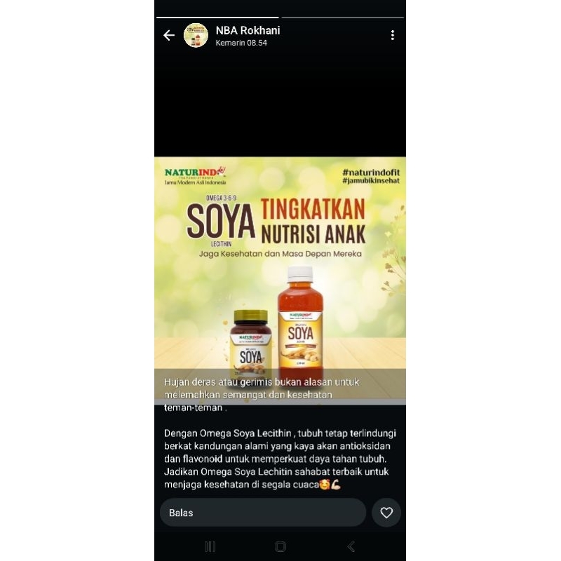 soya lecithin by naturindo