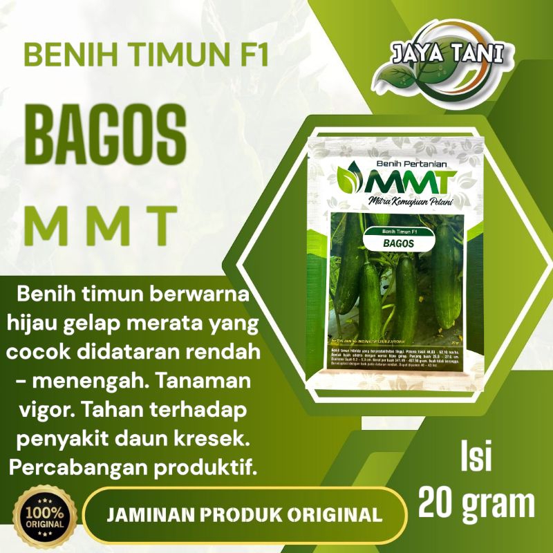 Benih Timun  F1 BAGOS 20gram - MMT Seed