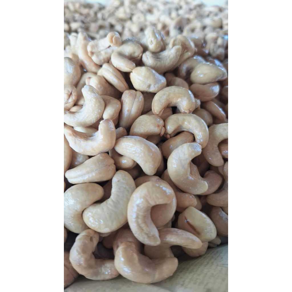 

[1 KG]KACANG MEDE MENTAH SUPER PREMIUM