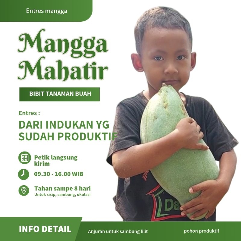 ENTRES MANGGA MAHATIR