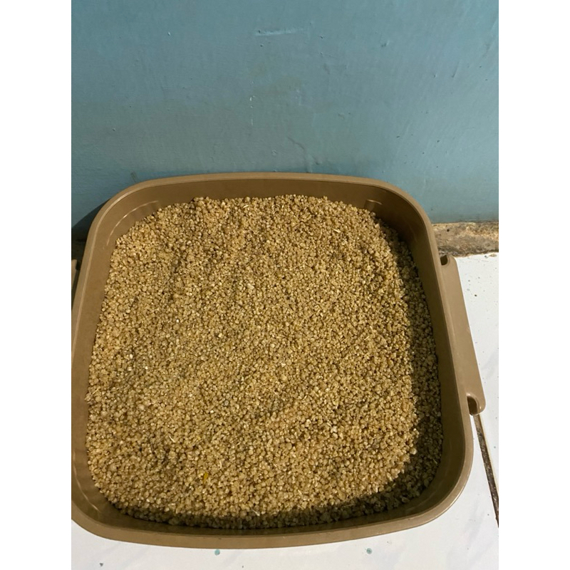 

Nasi tiwul/karak tiwul/tiwul kering