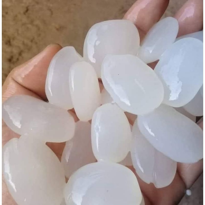 

KOLANG KALING SUPER BESAR & KENYAL 100% ALAMI