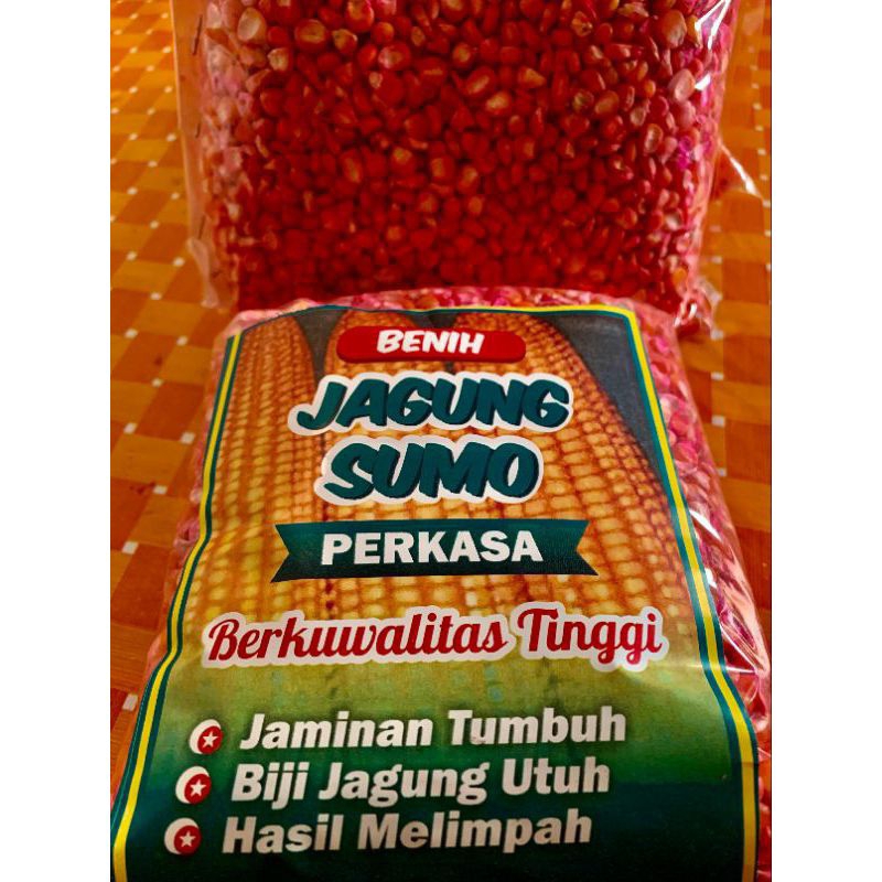 BENIH JAGUNG SUMO PERKASA  JAGUNG 1KG