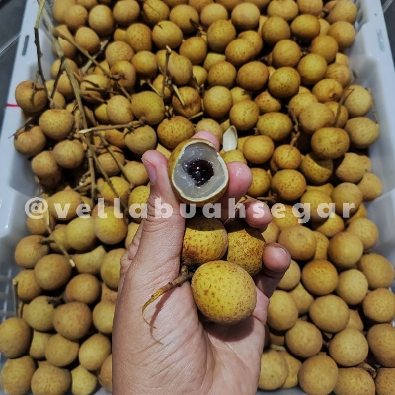 

[FRESH MANIS KIRIM INSTAN/SAMEDAY] Lengkeng Bangkok KUALITAS SUPER FRESH Manis