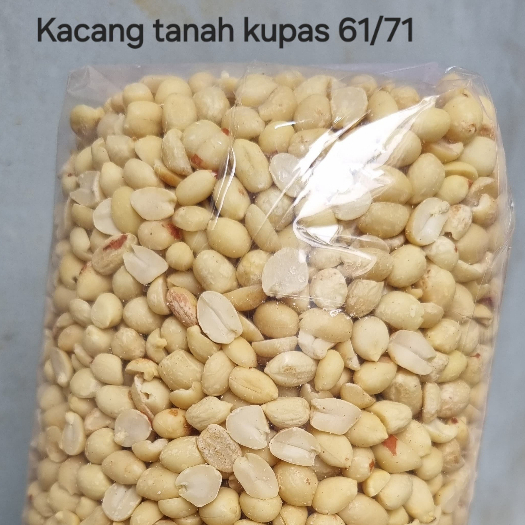 

Forcysn Kacang Tanah Kupas Mentah Size Besar Sedang Kecil
