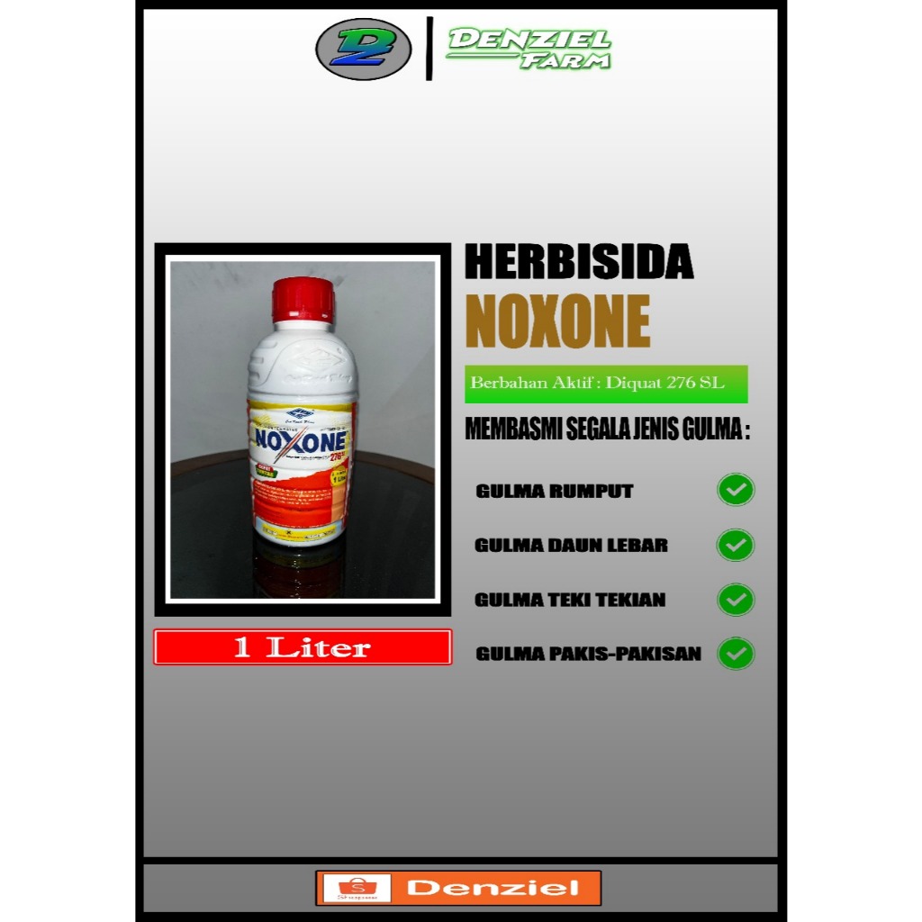 NOXONE 1L