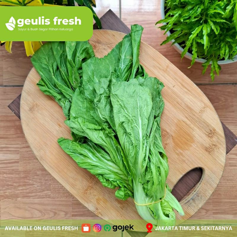

Sawi Pahit | 500gr Sayur Segar Jakarta Timur Geulis Fresh