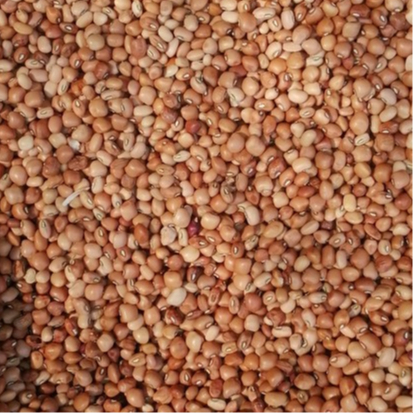 

Kacang Tolo / Kacang Tunggak 500gr
