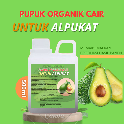 Pupuk alpukat agar cepat berbuah, pupuk alpukat, pupuk alpukat cair