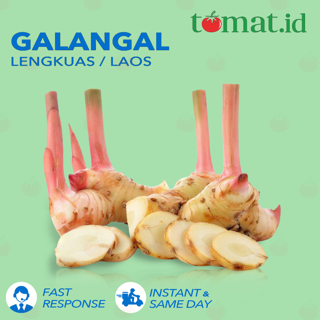 

Lengkuas / Lengkoas / Laos