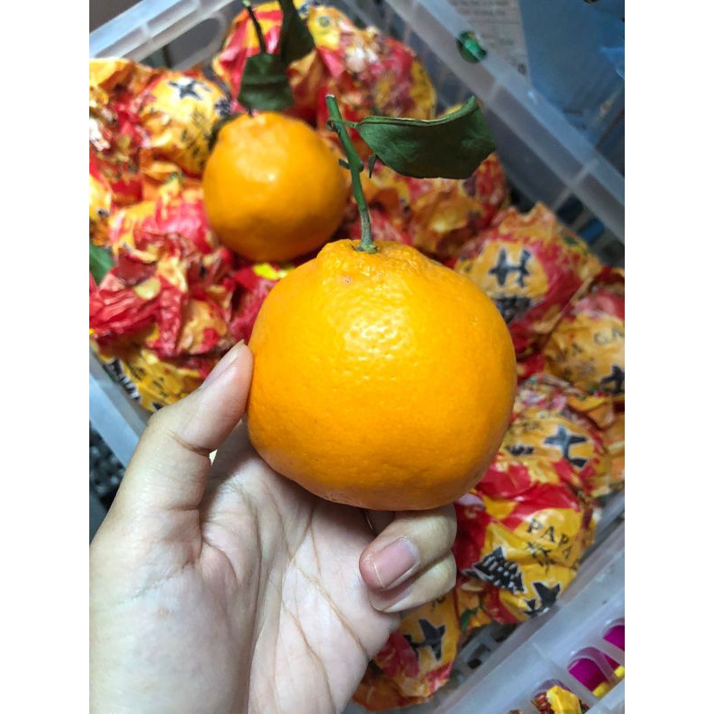 

Jeruk Papagan Yuji/kg