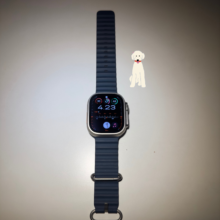 Apple Watch Ultra 2 (Second) / With Blood Oxygen Sensor