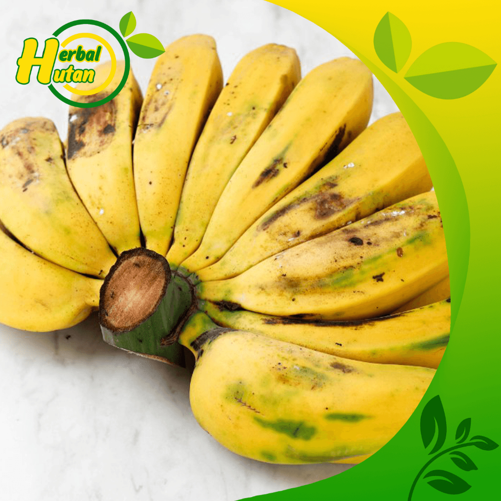 

Pisang kepok 1 sisir berat 1kg