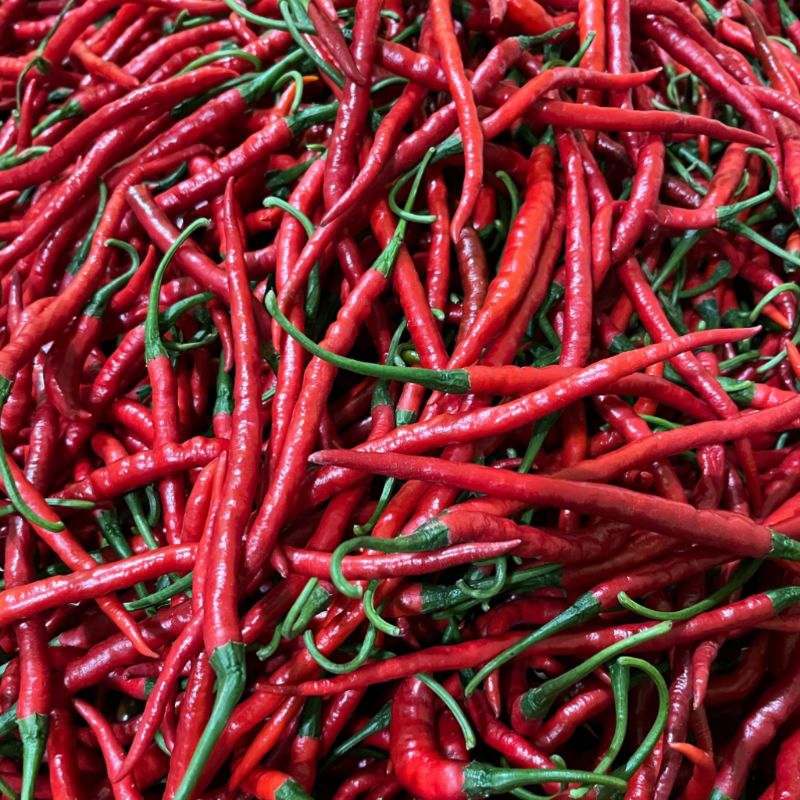 

CABE / CABAI MERAH KERITING FRESH 1KG