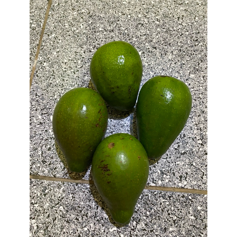 

ALPUKAT MENTEGA 1Kg isi 2