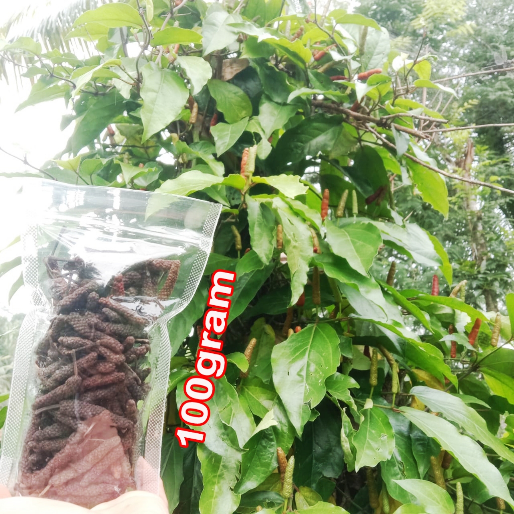 

cabe jawa jamu puyang 100 gram kering