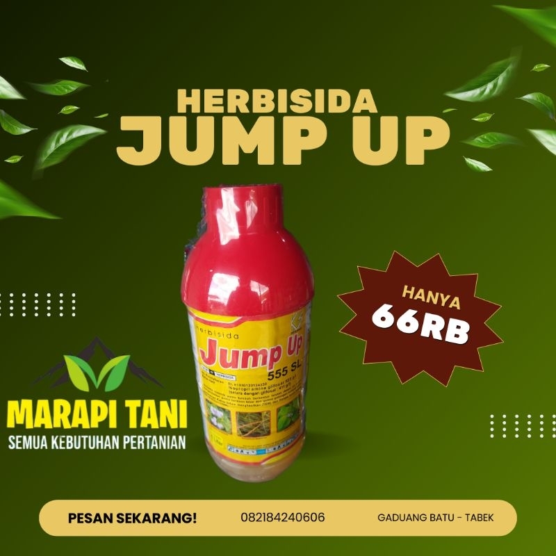 Herbisida Jump Up 1 liter 555SL