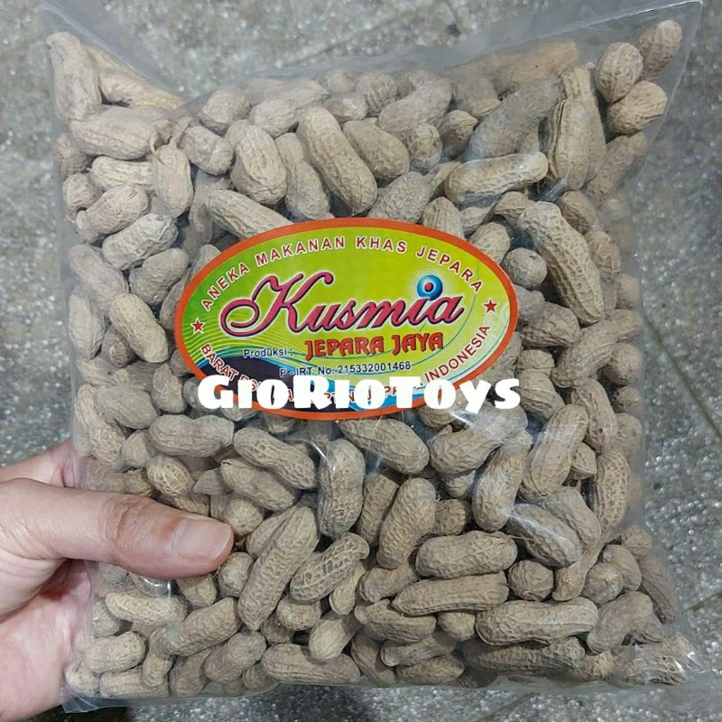 

Kacang Kulit Sangrai 500 Gr / Kacang Sangrai / Kacang Oven