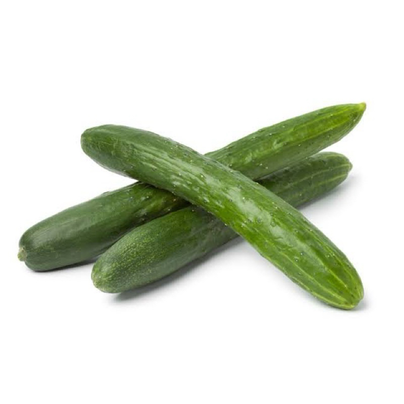 

KYURI CUCUMBER / TIMUN JEPANG 2 BIJI 500 GR
