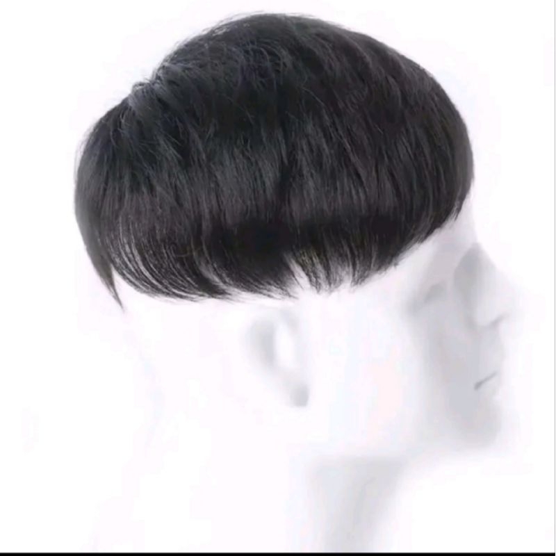 WIG TOUPEE/WIG TAMBAL RAMBUT BOTAK