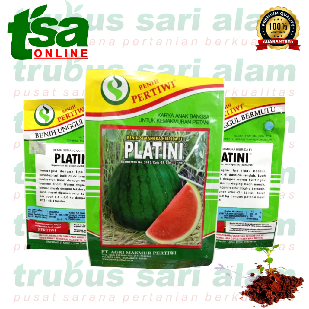 PLATINI F1 - 20 gr Benih bibit buah semangka merah NON BIJI hibrida PERTIWI