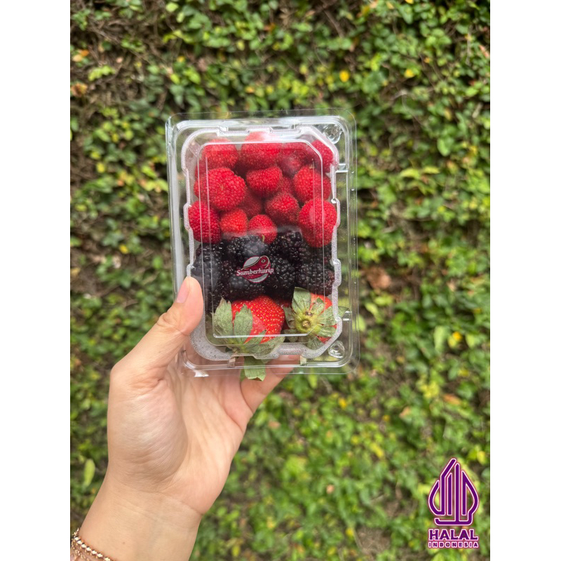 

MIX BERRIES FRESH 250gr / mix3 berry strawberry, raspberry ,backberry